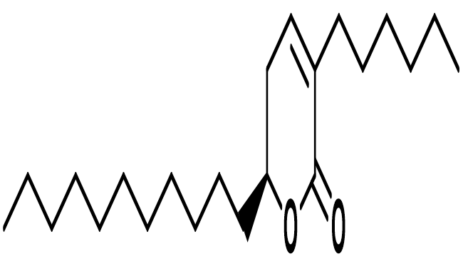 Orlistat Dihydropyranone Impurity